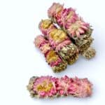 Witte Salie (Sage) met Roze Zonnebloem – Smudge Sticks Bio - Afbeelding 2